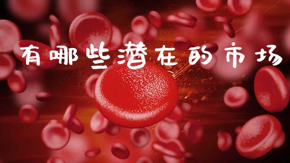 有哪些潜在的市场_https://cj006.lansai.wang_期货开户_第1张