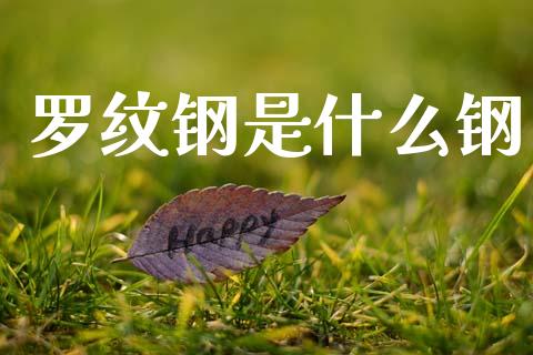罗纹钢是什么钢_金融监管_第1张_期货开户_金融监管_外汇交易_债券资讯_全球市场_财经新闻 罗纹钢是什么钢_https://cj006.lansai.wang_金融监管_第1张