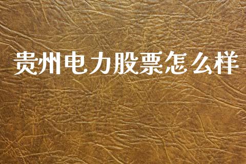 贵州电力股票怎么样_https://cj006.lansai.wang_期货开户_第1张
