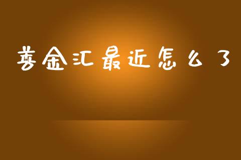 善金汇最近怎么了_https://cj006.lansai.wang_期货开户_第1张