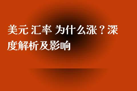 美元 汇率 为什么涨？深度解析及影响_https://cj006.lansai.wang_外汇交易_第1张