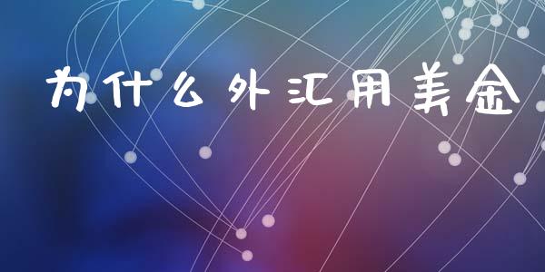 为什么外汇用美金_https://cj006.lansai.wang_债券资讯_第1张