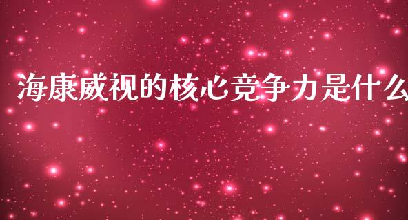 海康威视的核心竞争力是什么_https://cj006.lansai.wang_金融监管_第1张
