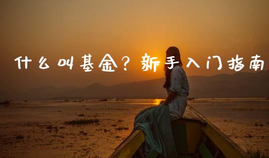 什么叫基金?新手入门指南_金融监管_第1张_期货开户_金融监管_外汇交易_债券资讯_全球市场_财经新闻 什么叫基金?新手入门指南_https://cj006.lansai.wang_金融监管_第1张