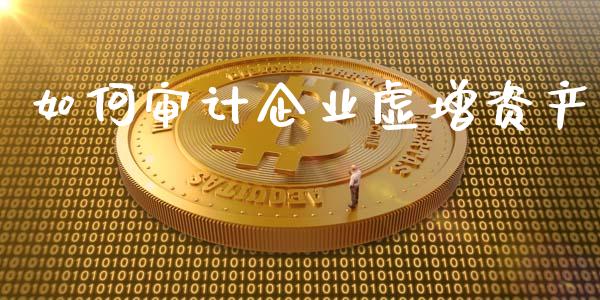 如何审计企业虚增资产_https://cj006.lansai.wang_财经新闻_第1张