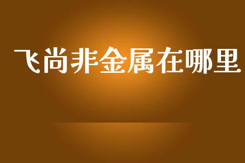 飞尚非金属在哪里_https://cj006.lansai.wang_财经新闻_第1张