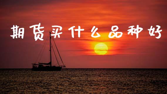 期货买什么品种好_https://cj006.lansai.wang_期货开户_第1张