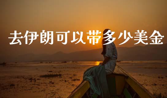 去伊朗可以带多少美金_https://cj006.lansai.wang_全球市场_第1张