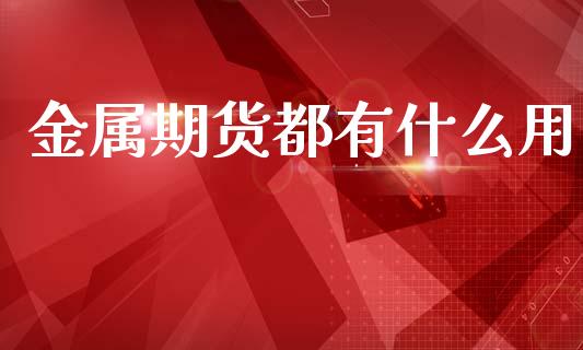金属期货都有什么用_https://cj006.lansai.wang_全球市场_第1张