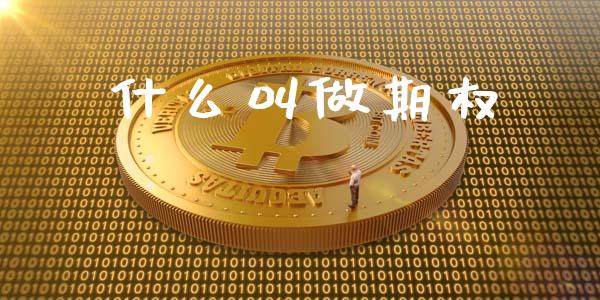 什么叫做期权_https://cj006.lansai.wang_全球市场_第1张