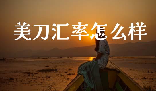 美刀汇率怎么样_https://cj006.lansai.wang_财经新闻_第1张