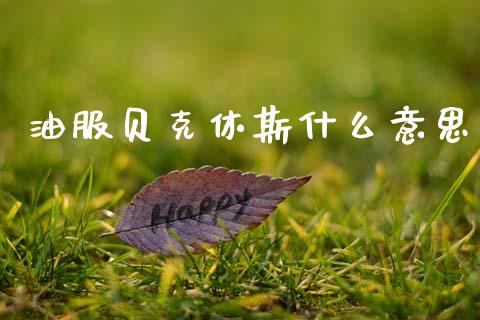 油服贝克休斯什么意思_https://cj006.lansai.wang_外汇交易_第1张