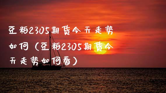 豆粕2305期货今天走势如何（豆粕2305期货今天走势如何看）_https://cj006.lansai.wang_财经新闻_第1张
