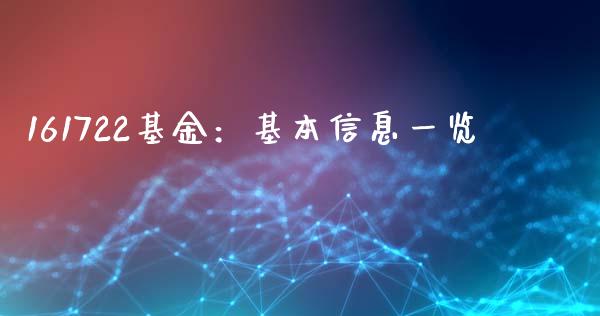 161722基金：基本信息一览_https://cj006.lansai.wang_金融监管_第1张