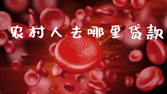 农村人去哪里贷款_https://cj006.lansai.wang_债券资讯_第1张