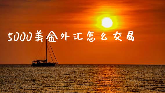 5000美金外汇怎么交易_https://cj006.lansai.wang_债券资讯_第1张