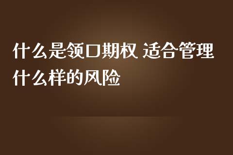 什么是领口期权 适合管理什么样的风险_https://cj006.lansai.wang_财经新闻_第1张