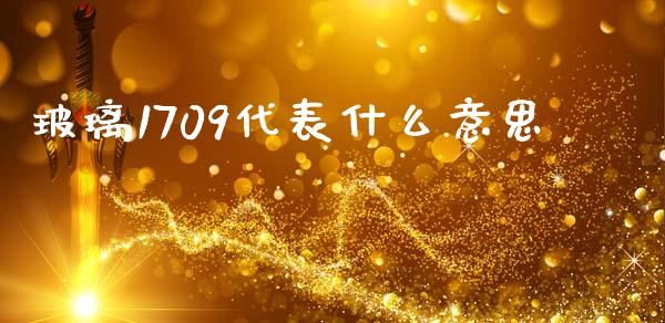 玻璃1709代表什么意思_https://cj006.lansai.wang_债券资讯_第1张