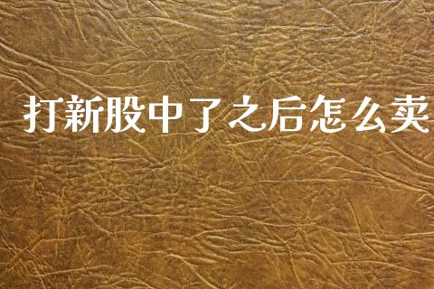 打新股中了之后怎么卖_https://cj006.lansai.wang_财经新闻_第1张