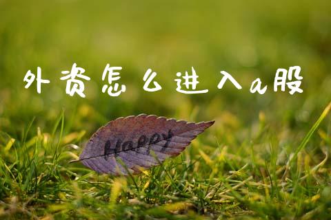 外资怎么进入a股_https://cj006.lansai.wang_期货开户_第1张