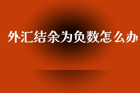 外汇结余为负数怎么办_https://cj006.lansai.wang_全球市场_第1张