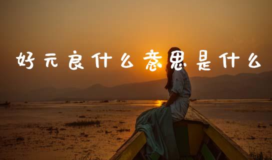 好元良什么意思是什么_https://cj006.lansai.wang_财经新闻_第1张