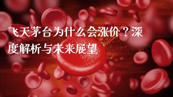 飞天茅台为什么会涨价？深度解析与未来展望_https://cj006.lansai.wang_期货开户_第1张