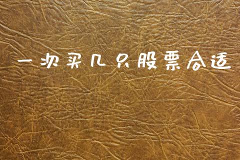 一次买几只股票合适_https://cj006.lansai.wang_外汇交易_第1张