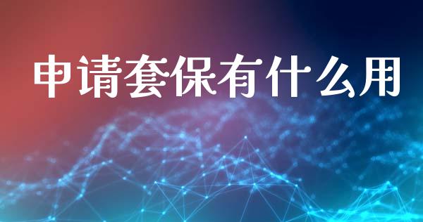 申请套保有什么用_https://cj006.lansai.wang_金融监管_第1张