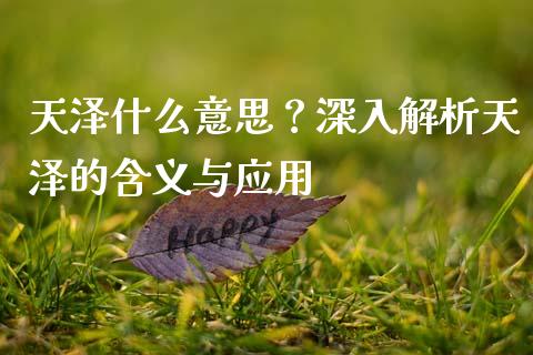 天泽什么意思？深入解析天泽的含义与应用_https://cj006.lansai.wang_金融监管_第1张