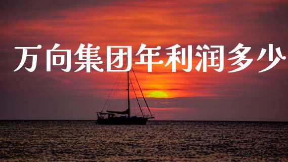 万向集团年利润多少_https://cj006.lansai.wang_金融监管_第1张