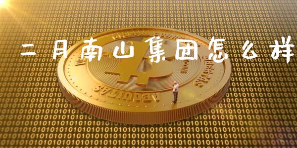 二月南山集团怎么样_https://cj006.lansai.wang_期货开户_第1张