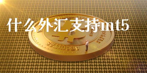 什么外汇支持mt5_https://cj006.lansai.wang_财经新闻_第1张