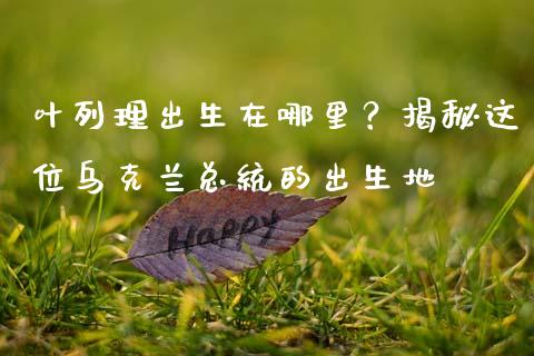 叶列理出生在哪里？揭秘这位乌克兰总统的出生地_https://cj006.lansai.wang_财经新闻_第1张