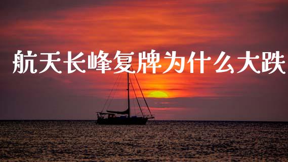 航天长峰复牌为什么大跌_https://cj006.lansai.wang_财经新闻_第1张