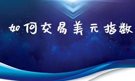 如何交易美元指数_https://cj006.lansai.wang_金融监管_第1张
