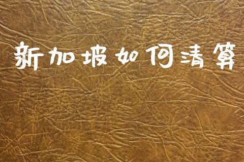新加坡如何清算_https://cj006.lansai.wang_金融监管_第1张