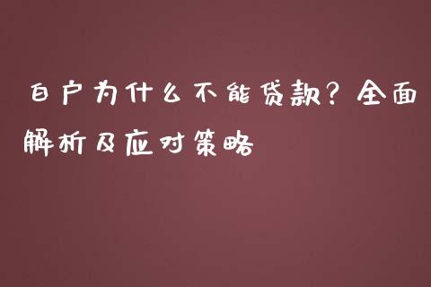 白户为什么不能贷款？全面解析及应对策略_https://cj006.lansai.wang_金融监管_第1张