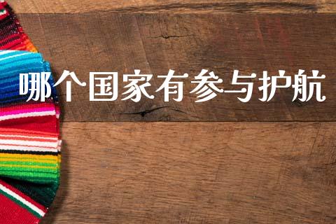 哪个国家有参与护航_https://cj006.lansai.wang_金融监管_第1张