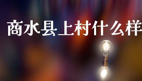 商水县上村什么样_https://cj006.lansai.wang_债券资讯_第1张