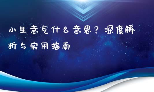 小生意气什么意思？深度解析与实用指南_https://cj006.lansai.wang_金融监管_第1张
