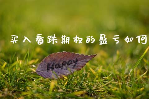 买入看跌期权的盈亏如何_https://cj006.lansai.wang_财经新闻_第1张