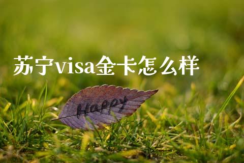 苏宁visa金卡怎么样_https://cj006.lansai.wang_金融监管_第1张