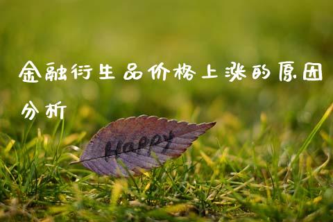 金融衍生品价格上涨的原因分析_https://cj006.lansai.wang_期货开户_第1张