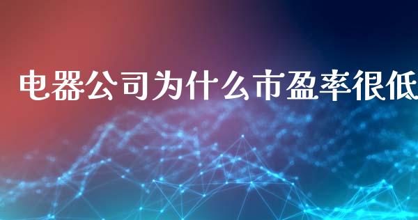 电器公司为什么市盈率很低_https://cj006.lansai.wang_债券资讯_第1张