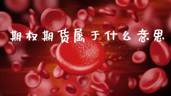 期权期货属于什么意思_https://cj006.lansai.wang_债券资讯_第1张