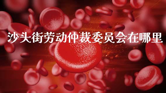沙头街劳动仲裁委员会在哪里_https://cj006.lansai.wang_财经新闻_第1张