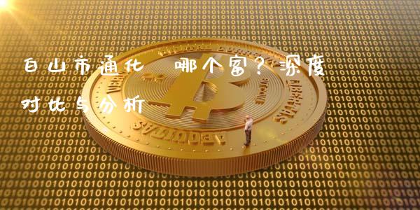 白山市通化巿哪个富？深度对比与分析_https://cj006.lansai.wang_外汇交易_第1张