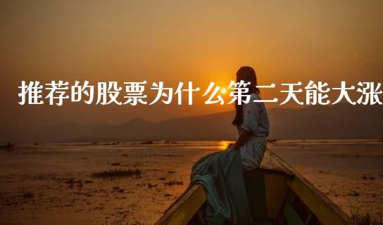 推荐的股票为什么第二天能大涨_https://cj006.lansai.wang_金融监管_第1张