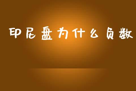 印尼盘为什么负数_https://cj006.lansai.wang_金融监管_第1张